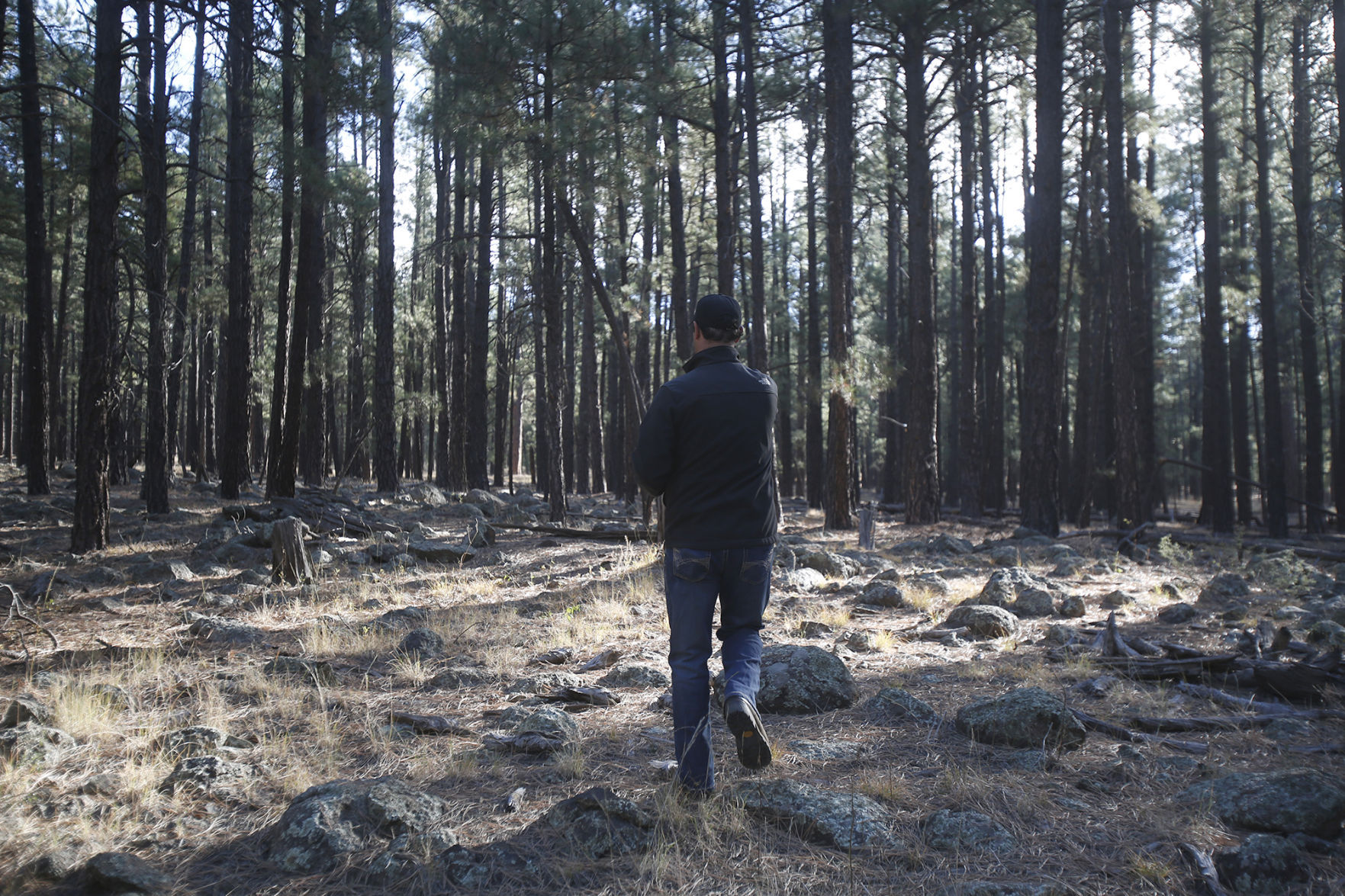 Forest Foundation